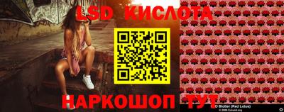apvp Тверь