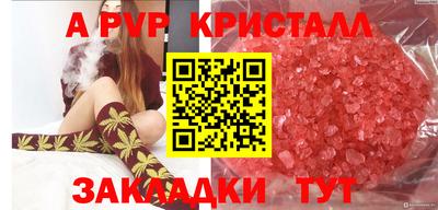 мяу мяу мука Тара