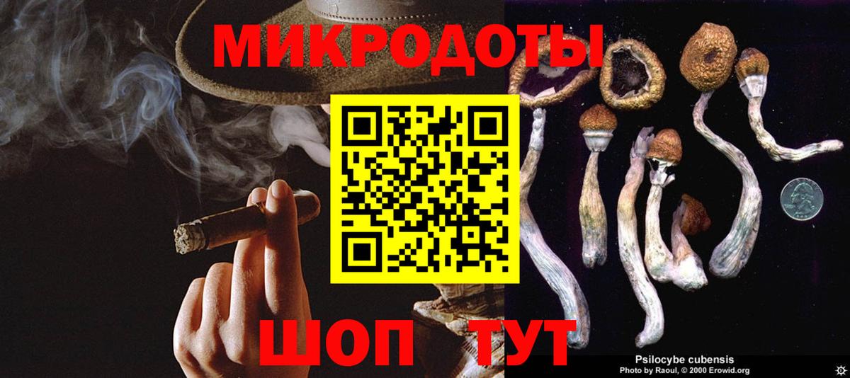 Галлюциногенные грибы мицелий  купить наркотики сайты  Новотроицк  Вход с VPN 